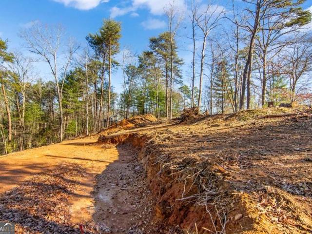 Land for sale in Gilmer, Georgia