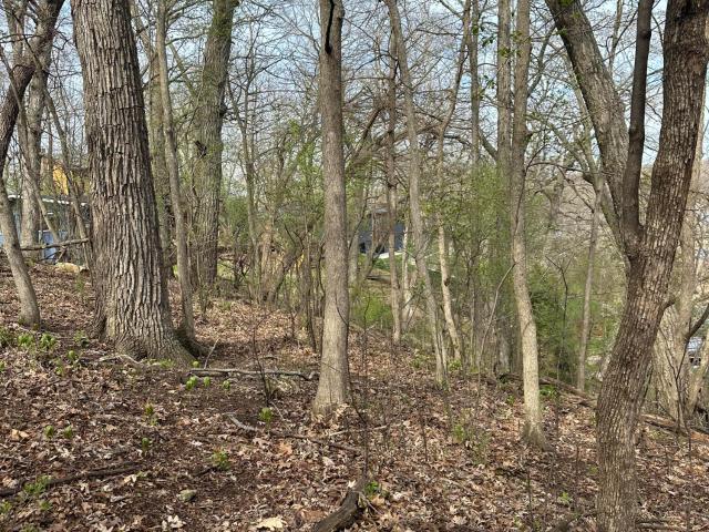 Land for sale in Elkhorn, Wisconsin