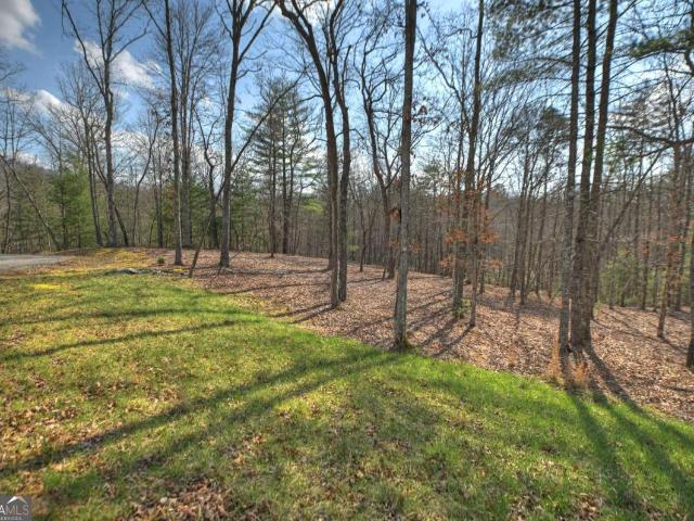 Land for sale in Georgia