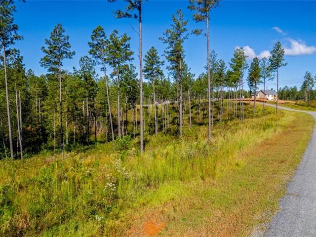 Land for sale in Gilmer, Georgia