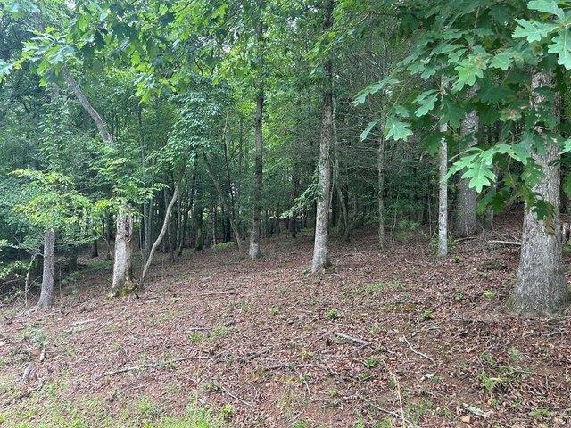 Land for sale in Blairsville, Georgia