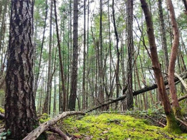 Land for sale in Gabriola, British Columbia