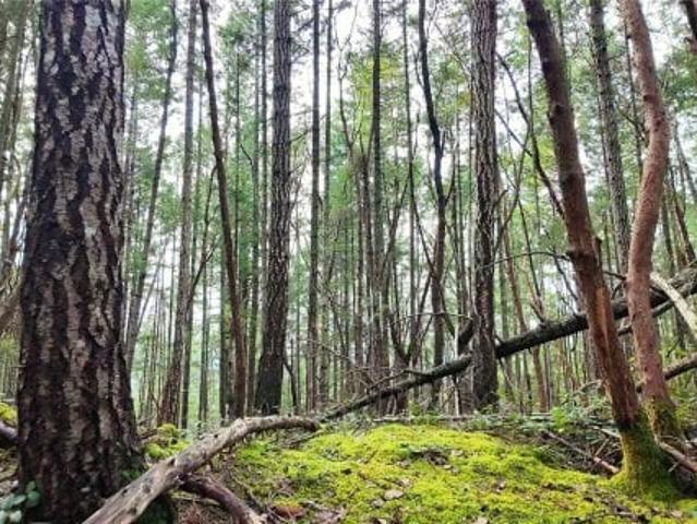 Land for sale in Gabriola, British Columbia