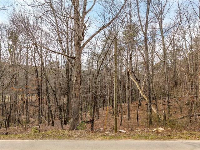Land for sale in Pickens, Georgia