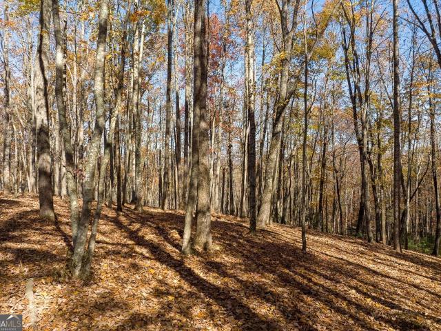 Land for sale in Gilmer, Georgia