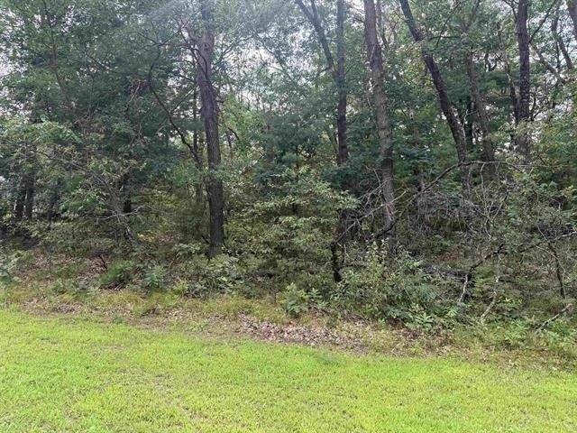 Land for sale in Friendship, Wisconsin