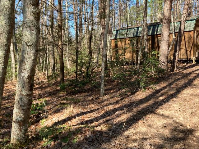 Land for sale in Blue Ridge, Fannin County