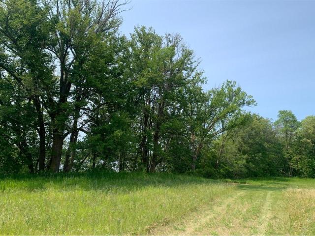 Land for sale in Erskine, Minnesota