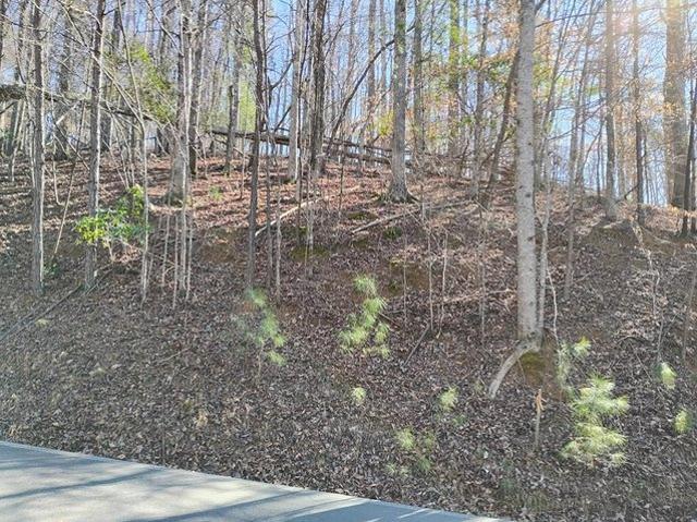 Land for sale in Gilmer, Georgia