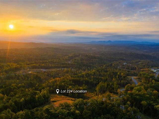 Land for sale in Gilmer, Georgia
