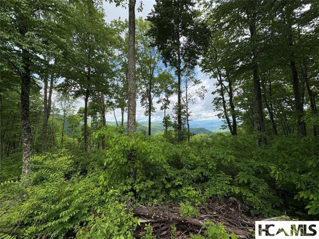 Land for sale in Cullowhee, North Carolina
