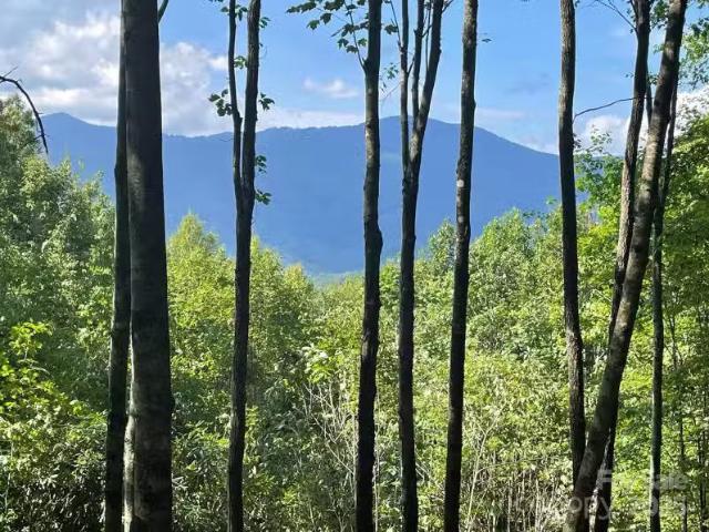 House for sale in Brevard