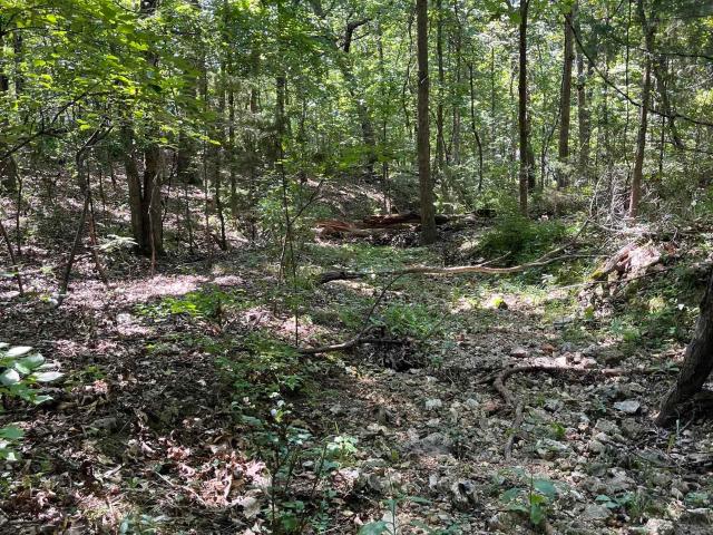 Land for sale in Ark