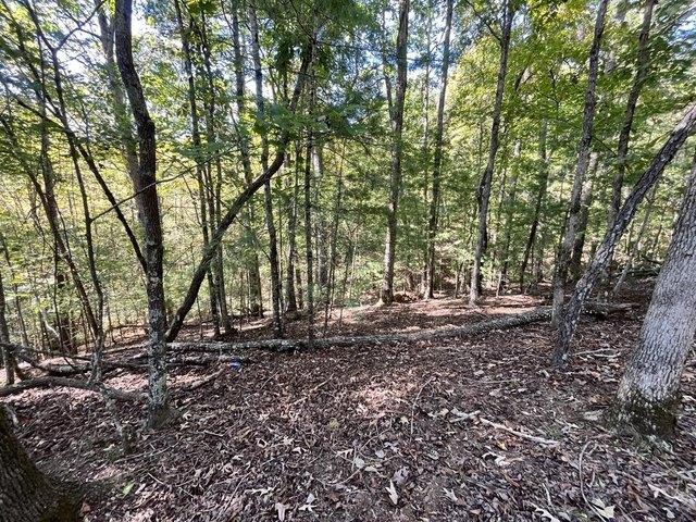 Land for sale in Ellijay, Gilmer County