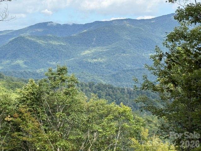 Land for sale in Sylva, North Carolina