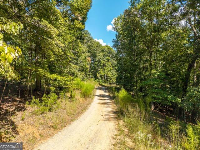 Land for sale in Georgia