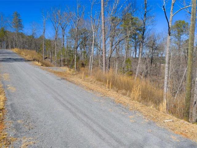 Land for sale in Gilmer, Georgia