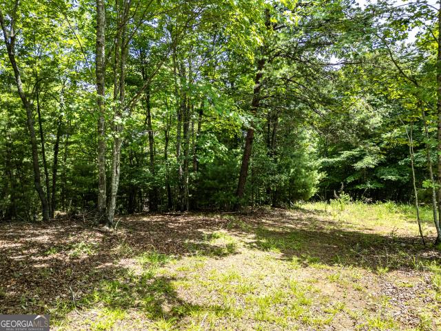 Land for sale in North Carolina