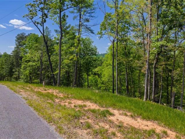 Land for sale in Gilmer, Georgia