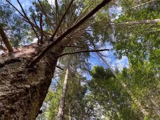 House for sale in Gabriola, British Columbia