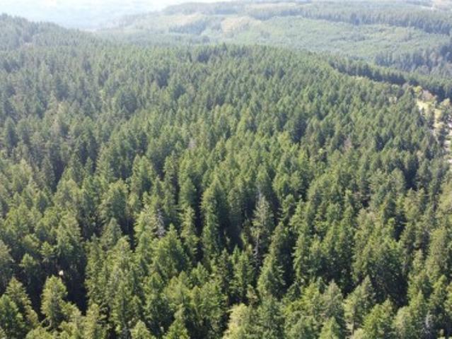 Land for sale in Clayoquot, British Columbia