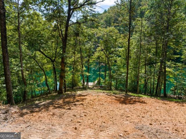 Land for sale in Gilmer, Georgia