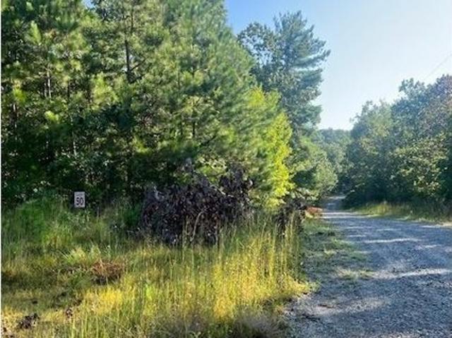 Land for sale in Gilmer, Georgia