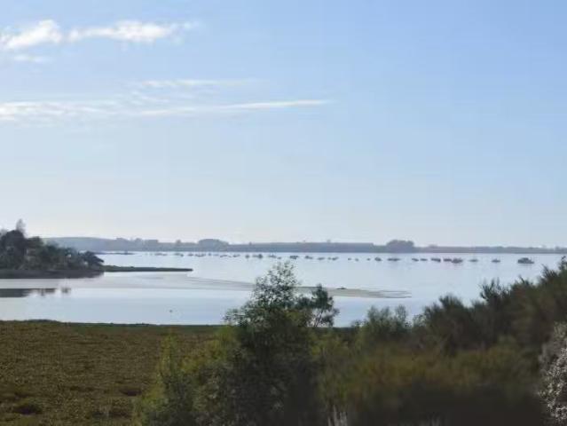 House for sale in Bay Of Plenty