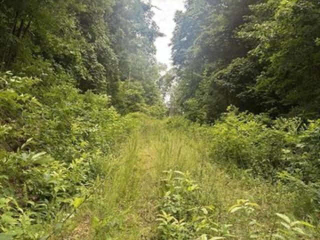 Land for sale in Sylva, North Carolina