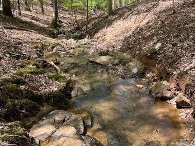 Land for sale in Ellijay Land for sale in Ellijay