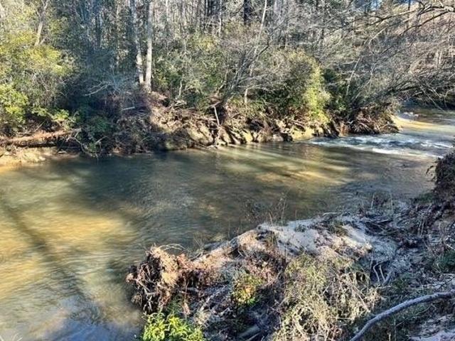 Land for sale in Blairsville