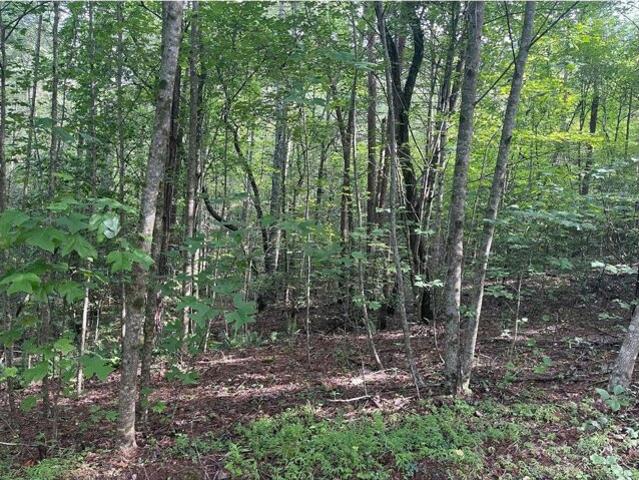 Land for sale in Murphy