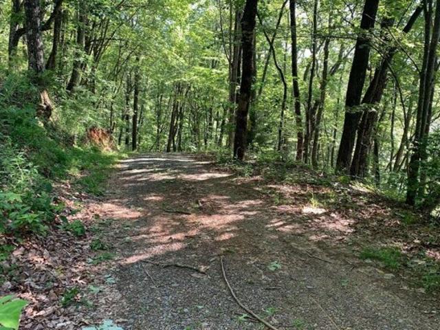 Land for sale in Murphy
