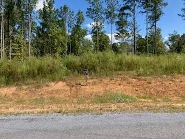 Land for sale in Ellijay