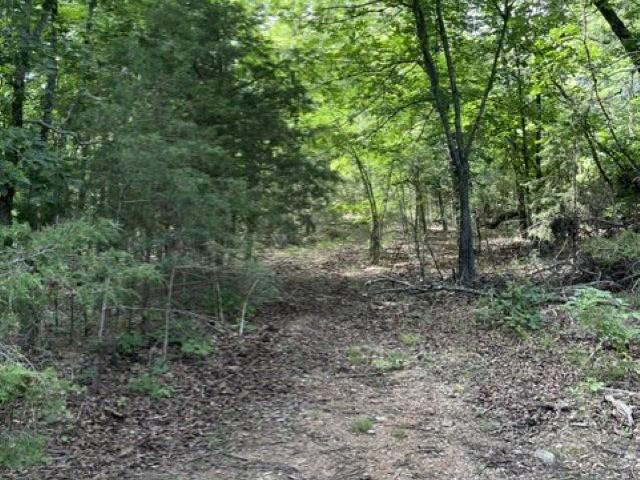 Land for sale in Ark