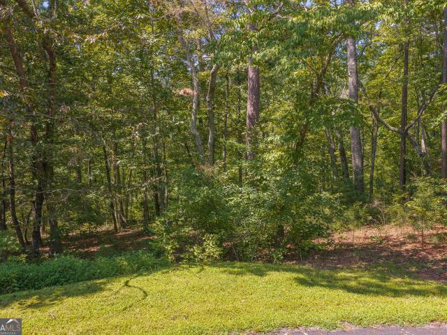 Land for sale in Gilmer, Georgia