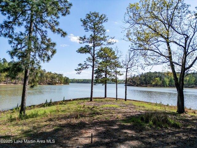 Land for sale in Alexander City