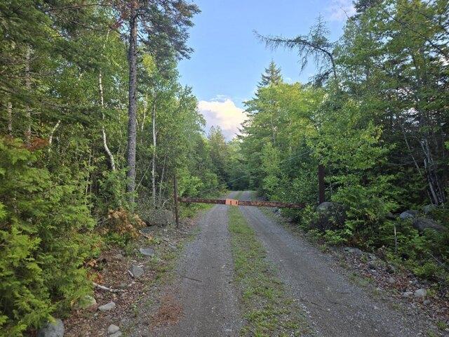 Land for sale in Lubec, Maine