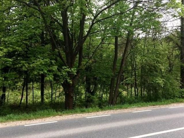 Grunt na sprzedaż w Biała Podlaska, Lubelskie