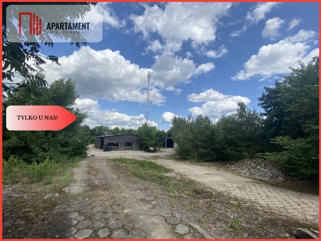 Grunt na sprzedaż w Lubiewo, Kujawsko-pomorskie