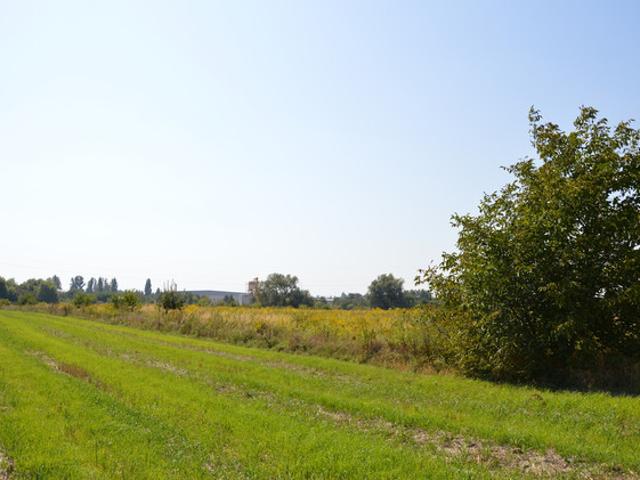 Grunt na sprzedaż w Lublin, Lubelskie
