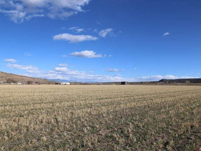 Land for sale in Montrose, Colorado