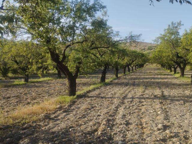 Local Comercial en venta en Valle del Almanzora, Andalucía