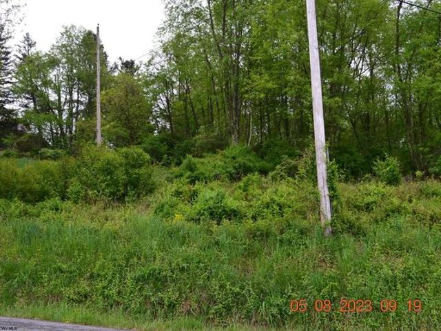 Land for sale in Grafton, West Virginia