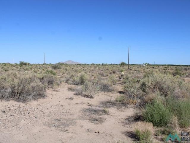 Land for sale in Luna, New Mexico