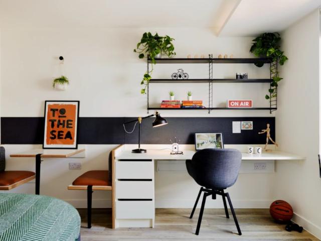 Studio for rent in Hollingdean, Brighton & Hove