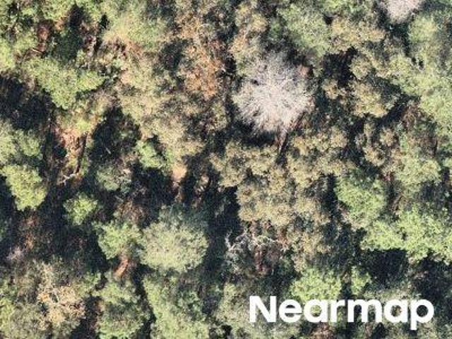 Land for sale in Florida