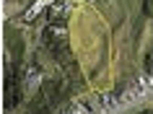 Land for sale in East Coast