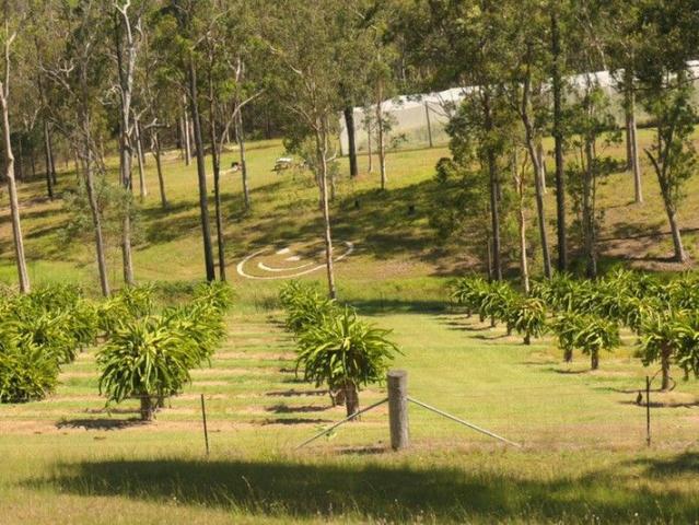 Cottage for sale in Bulldog, New South Wales