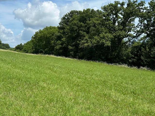 Land for sale in Cynthiana, Kentucky